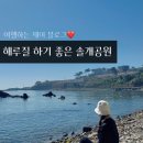 고동바위공원 | 부산 근교 울산 스노클링 해루질하기 좋은 솔개공원