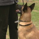 대구가축병원 이미지