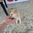 노선장민박 이미지