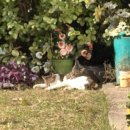 무양공원 놀이터(무양) 이미지