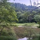 오래캠핑장 | [가평] 가평 계곡 캠핑장, 메타피아 오래 캠핑장, A12,내돈내산, 솔직후기