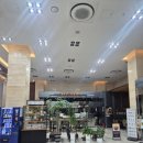 cu 영광중앙점 앞 | 강원/속초] 씨크루즈 호텔 하프오션뷰 후기_ 속초 중앙시장 도보 10분 + 야경 맛집