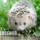 동영상 제작 이미지