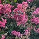 원포공원 이미지