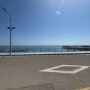 해운대유치원 | 부산 해운대에서 믿고 맡기는 애견유치원, 라메르시오 방문 후기 ✨🐶