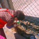 성호축산 이미지