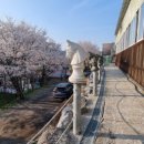 분당승마클럽 이미지