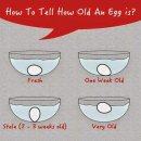 ＜오래된 계란 확인법＞ 이미지