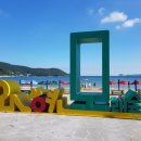 어서와현 이미지