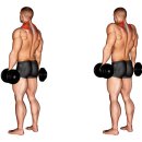 물리치료사의 바디포스쳐 PT 이미지