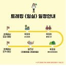 초록배낭 이미지