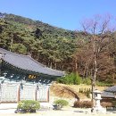 GR(합천군)-[삼가로]-상-26 | 합천...매화산 청량사
