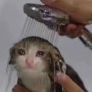 착한미용실 이미지