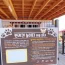 패밀리애견 이미지