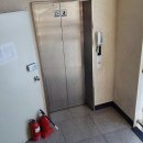 예일여고 이미지