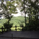 행복숲체험원오토캠핑장 이미지