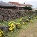 김녕초등학교 동복분교 이미지