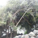 목천배수펌프장 이미지