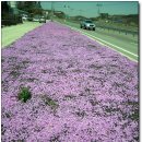 양림농장(2) 이미지