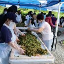 금천농장 2 이미지