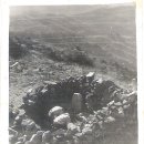 유천대가 이미지