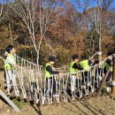 월명산 숲체험🍂 이미지