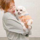 스튜디오피 이미지
