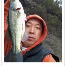 부엉덤이 이미지