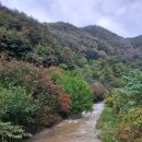 영월약수터 오토캠핑장 이미지