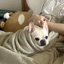 하남e편한메디컬의원 네이버블로그