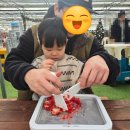 다인농장2 이미지