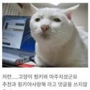 (주)큐브팩