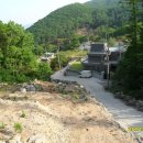 여주-0272 Daum카페