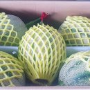 용마 농장 이미지