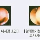 박진복이비인후과