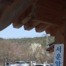 오야붕 Daum카페