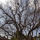 수월숲 공중화장실 이미지