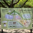 내맘대로미술놀이터 이미지