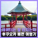 보예(voye) | 후쿠오카 효도여행 일본 유심 이심 뉴카멜리아호 부산 배편