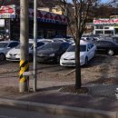 크린카센타 이미지