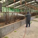 장흥축산 이미지