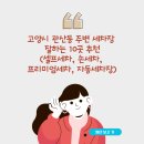 분포세차장