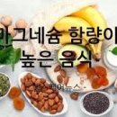 마그네슘 효능 부족 증상 하루 권장량 많은 음식 정리 이미지