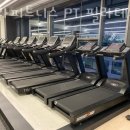 라라휘트니스 이미지