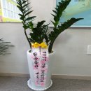 진해의아침공인중개사사무소 이미지