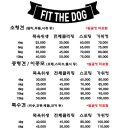 핏더독 네이버블로그