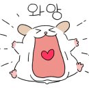 진향미용실 이미지