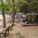 용두해수욕장 숲속야영장 이미지