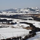 종달리삼거리 이미지