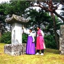연규정